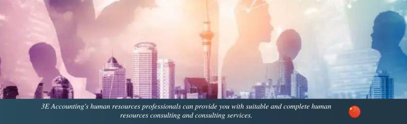 HR Consulting and Advisory Services in China HR Consulting and Advisory Services in China
